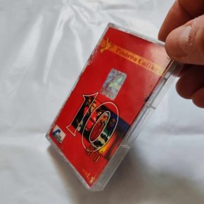 TEST CASETĂ. PASĂREA COLIBRI -10