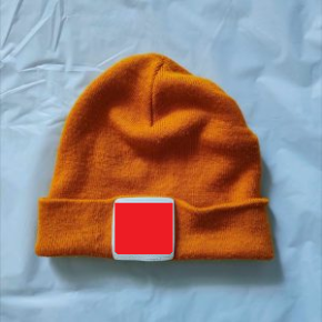 TEST. ȘAPCĂ/CĂCIULĂ